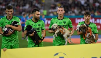 La iniciativa de la Federación Rumana de Futbol para promover la adopción canina