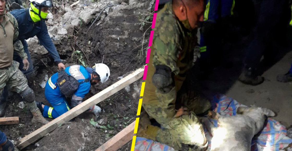 Marino lucha por reanimar a un perrito en el Cerro del Chiquihuite