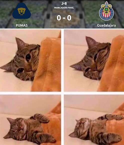 memes jornada 8 liga mx