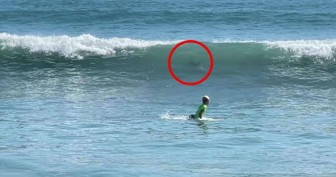 Captan el momento en que un niño se salva de ser atacado por un tiburón en competencia de surf