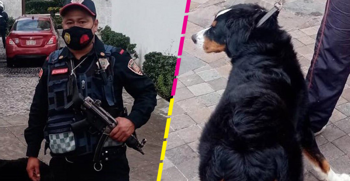 policia-evita-atropellen-perrito-cuajimalpa