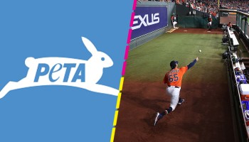 What? Dice PETA que quiere cambiar el término 'Bullpen' del béisbol por ser ofensivo