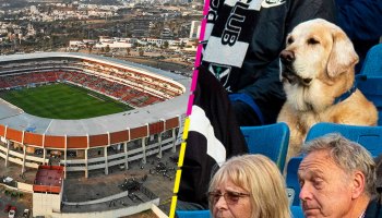 ¡Ideas perronas! El Corregidora de Querétaro tendrá zonas exclusivas para perritos en las tribunas