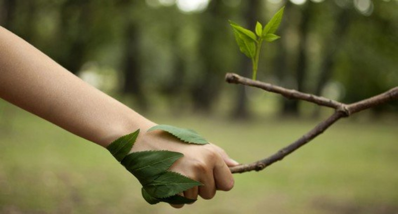 ¡Pónganse pilas! Gozar del medio ambiente limpio ya es parte de los derechos humanos