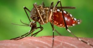 Arma láser para matar mosquitos.