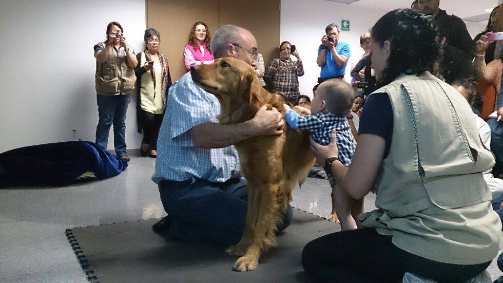 perro-terapia-niños