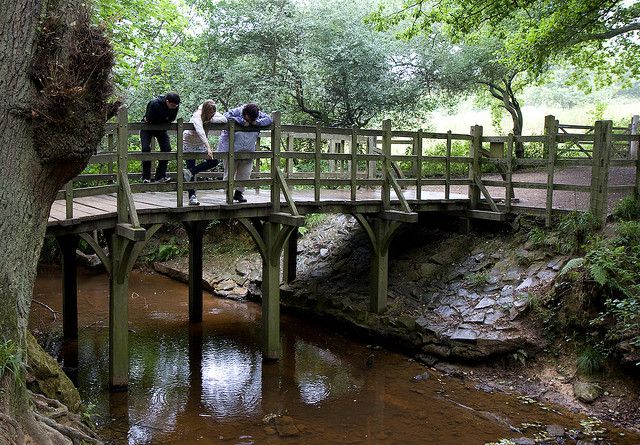 ¡Saca lo de la tanda! El puente original de las aventuras de ‘Winnie Pooh’ podría ser tuyo