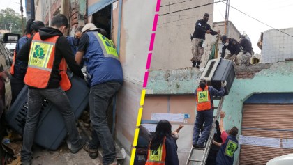 CDMX: Rescatan a 14 perritos maltratados gracias a un operativo en la colonia Obrera