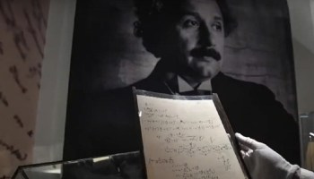 Einstein subasta 1