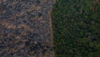 brasil-deforestacion-amazonia