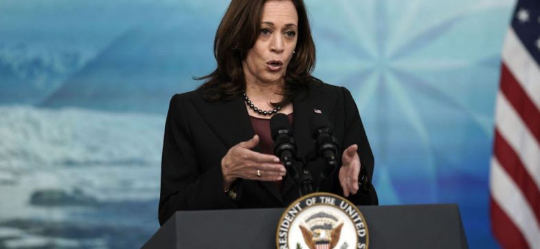 Kamala Harris y posibles sustitutos en caso de reemplazar a Biden