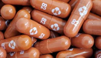 FILE PHOTO: An experimental COVID-19 treatment pill called molnupiravir being developed by Merck & Co Inc and Ridgeback Biotherapeutics LP, is seen in this undated handout photo released by Merck & Co Inc and obtained by Reuters May 17, 2021. Merck & Co Inc/Handout via