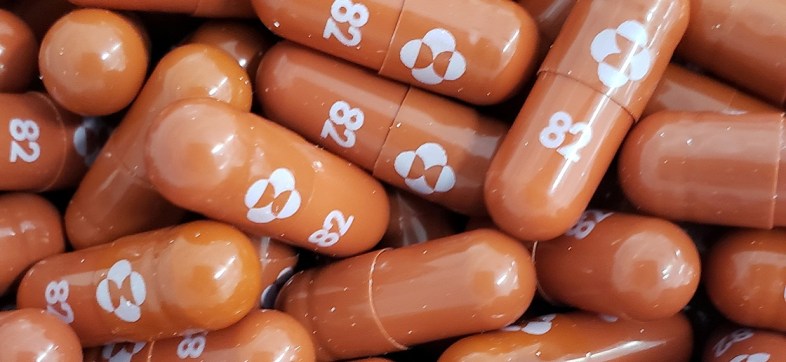 FILE PHOTO: An experimental COVID-19 treatment pill called molnupiravir being developed by Merck & Co Inc and Ridgeback Biotherapeutics LP, is seen in this undated handout photo released by Merck & Co Inc and obtained by Reuters May 17, 2021. Merck & Co Inc/Handout via