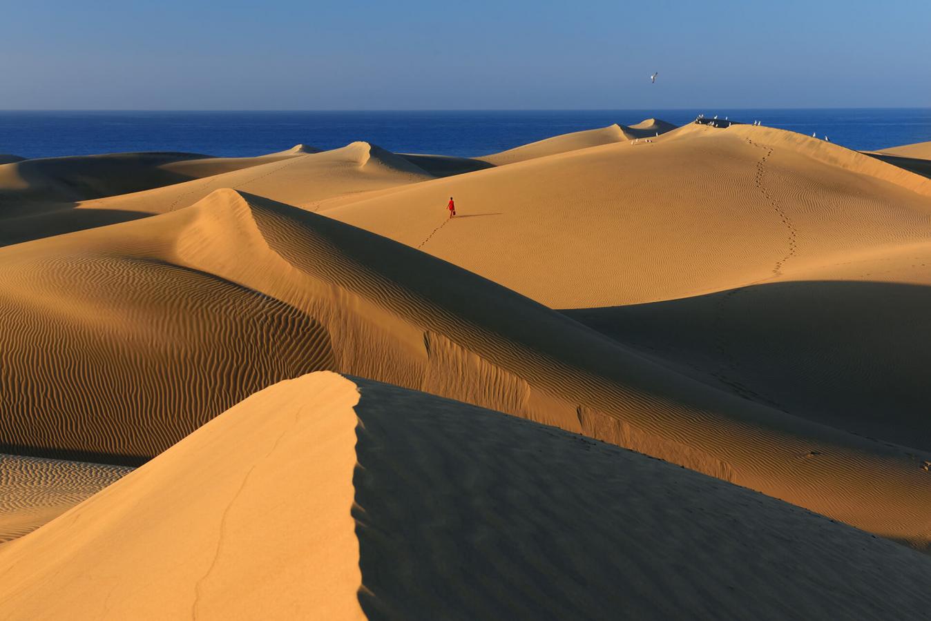 playa-dunas-españa