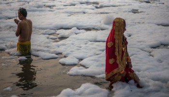 rio-yamuna-india