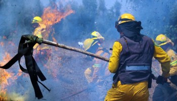 brigadistas-incendios-forestales-cdmx