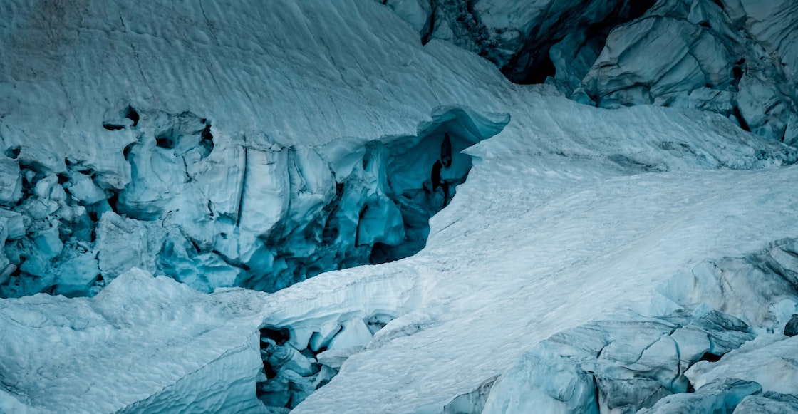 encuentran-animales-hielo-antartida