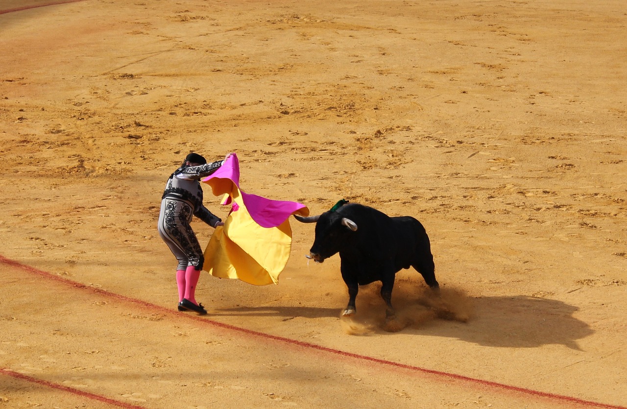 plaza-toros-prohibición-fiesta-brava