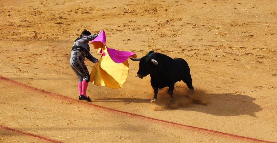 plaza-toros-prohibición-fiesta-brava