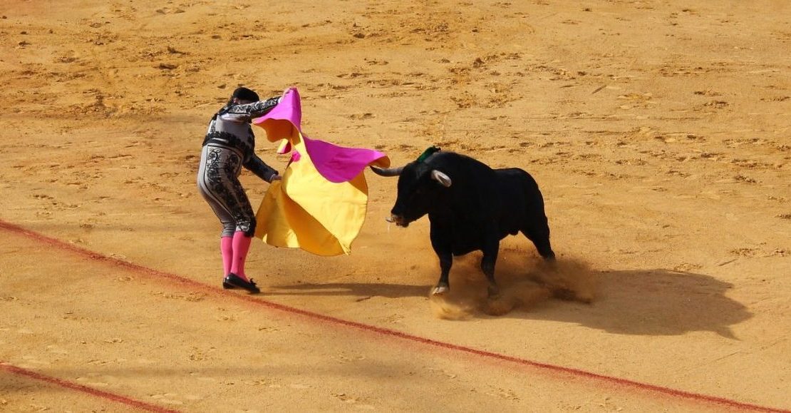 Corridas de toros sí, pero sin mole: Partido Verde va por “espectáculos sin sangre”