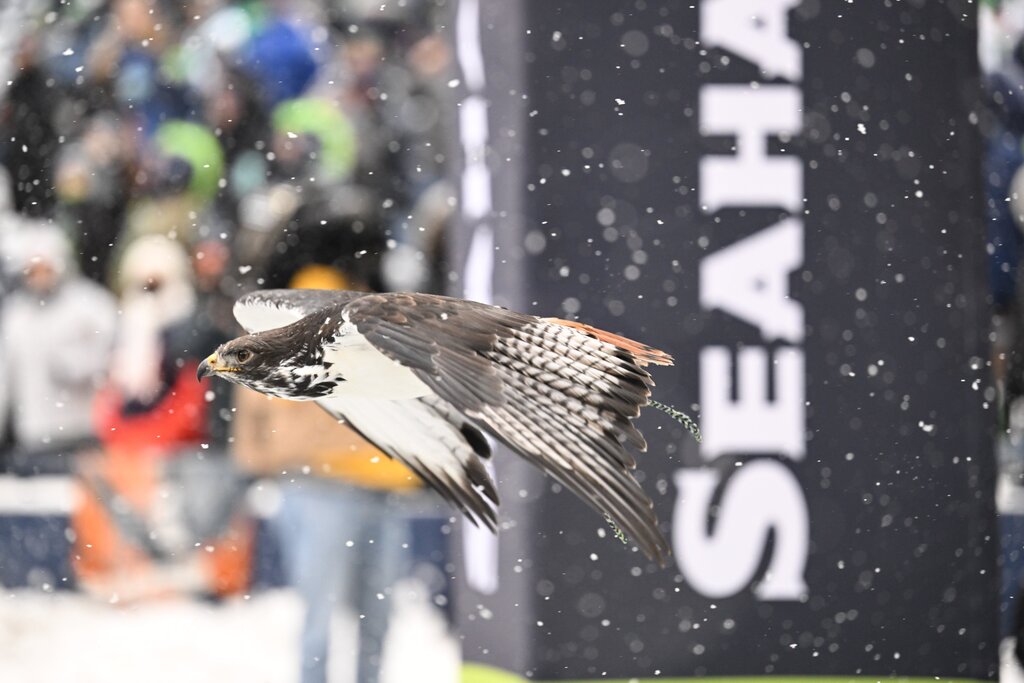 En imágenes: La espectacular nevada en el Seahawks vs Bears de la semana 16 de la NFL 