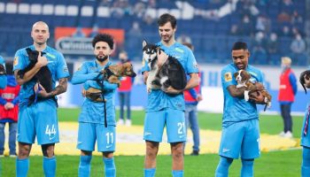 Suave partido: Jugadores del Zenit saltaron a la cancha con perritos para promover su adopción