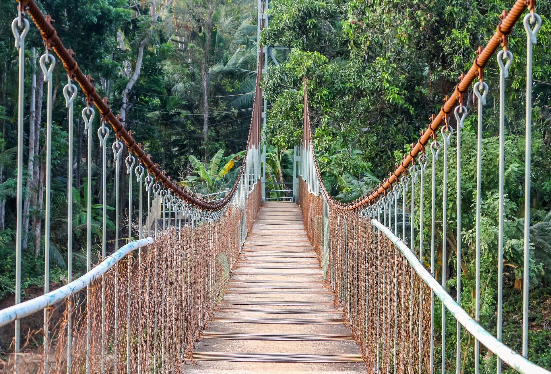 Se desploma puente colgante en Oaxaca cuando varias familias lo cruzaban