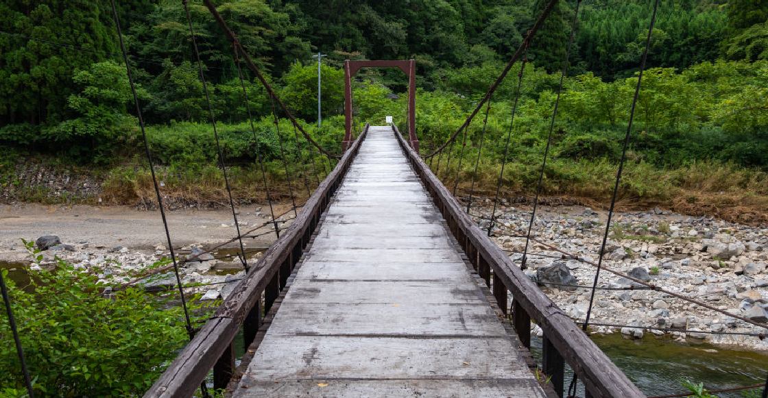 Se desploma puente colgante en Oaxaca cuando varias familias lo cruzaban