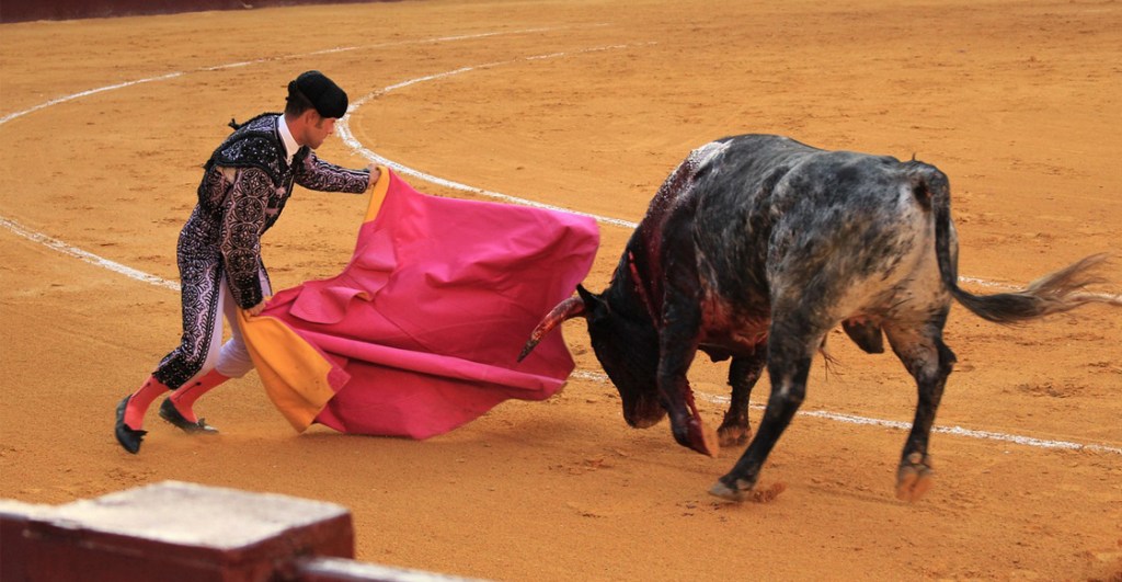 toros-corridos-cdmx-iniciativa