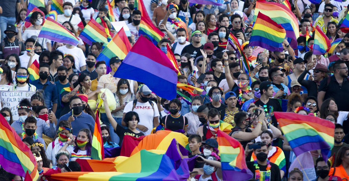 agresiones-bandera-lgbt-comunidad