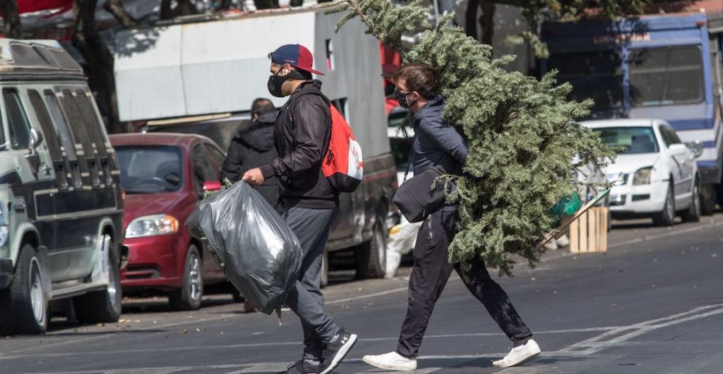 arbol-navidad-reciclar-cdmx-edomex