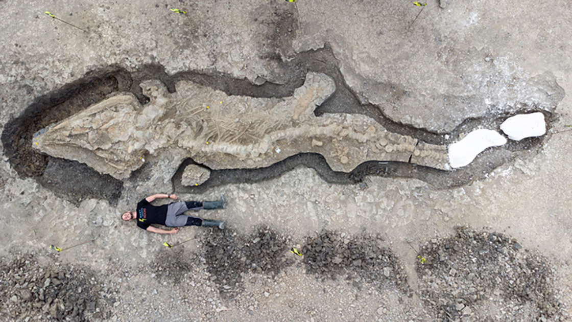 Los dragones no exis... Encuentran fósil gigante de 180 millones de años