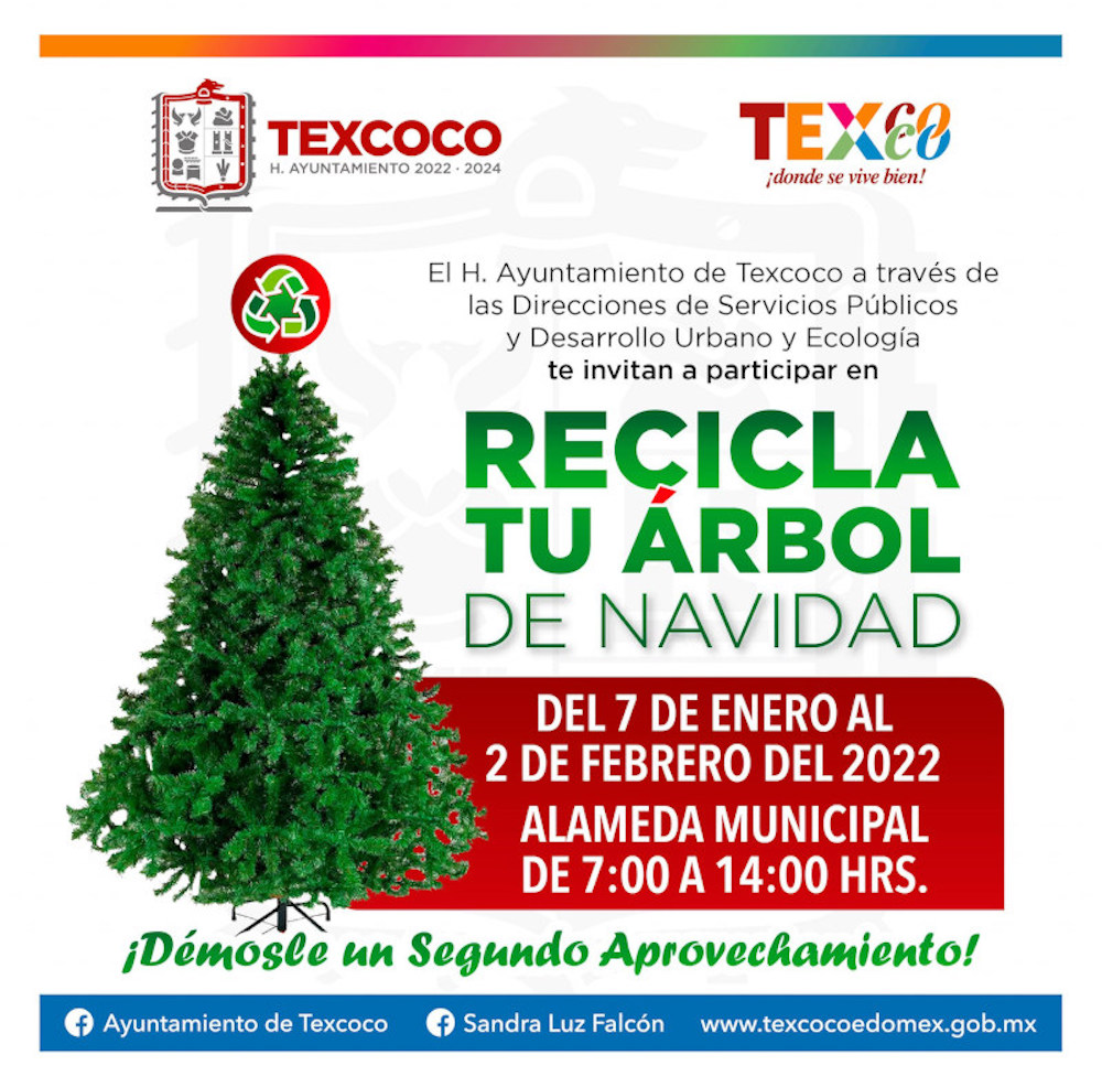  texcoco-arbol-navidad-reciclaje