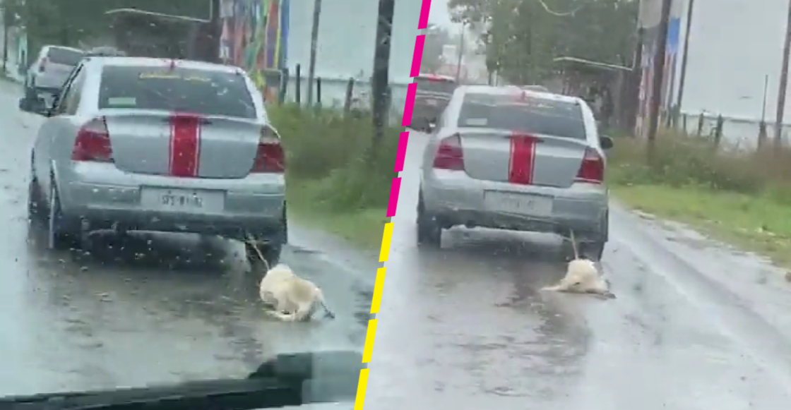 Arrastran a un perro con el auto en plena lluvia en calles de Tabasco