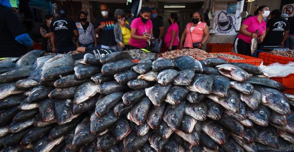 engaño-pescado-venta-cuaresma