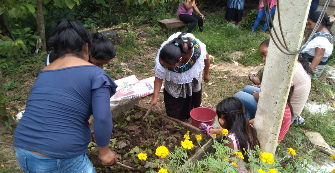 fondo-semillas-mujeres-donaciones