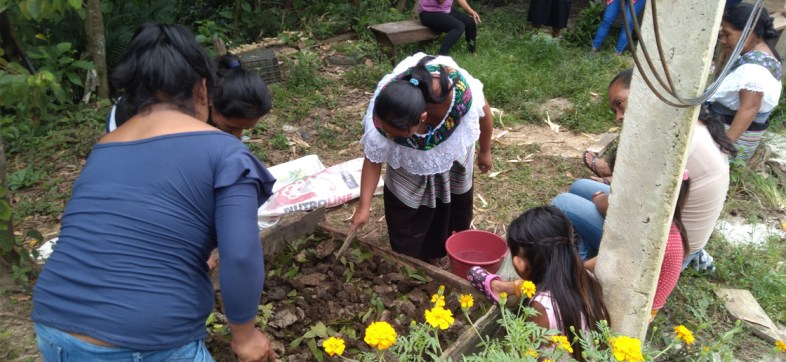 fondo-semillas-mujeres-donaciones