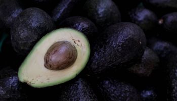 EU suspende las importaciones de aguacate de Michoacán - INCOMEX