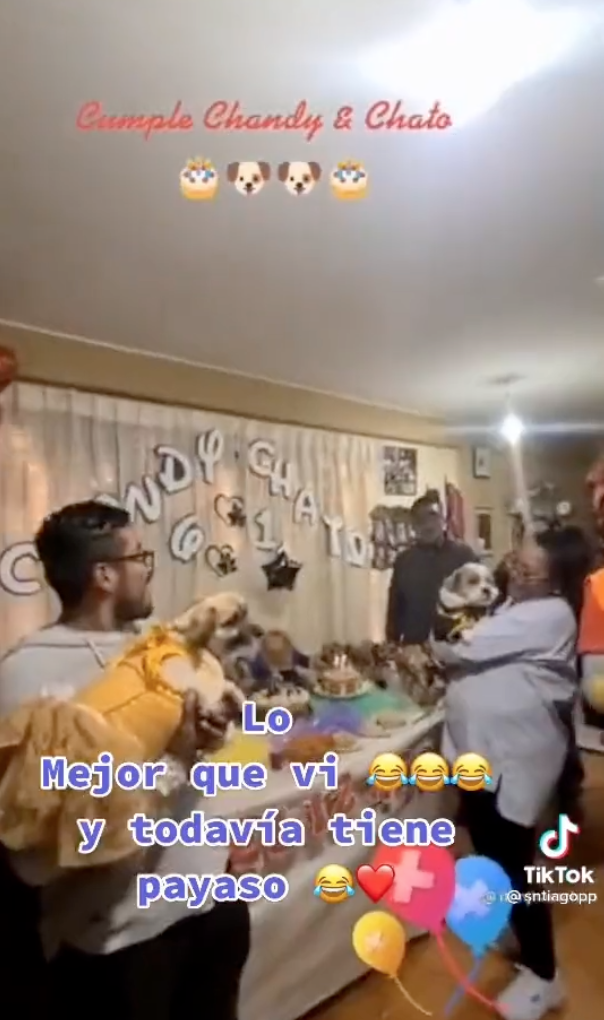 Estuvo perrona: Familia arma fiesta de cumpleaños para sus perritos con todo y payaso