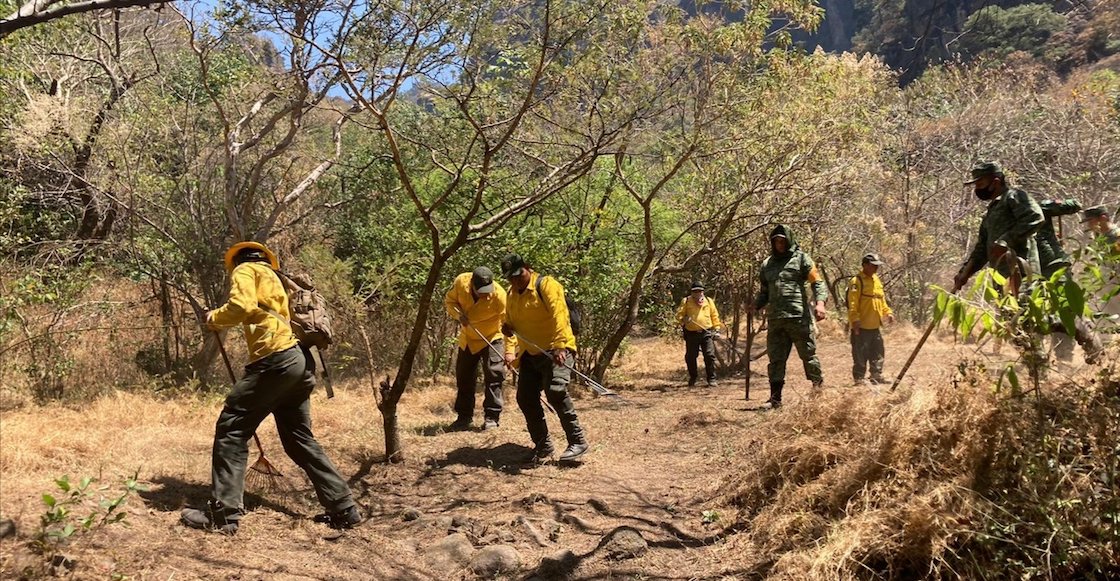 incendio-cerro-tepozteco-brigadistas-morelos