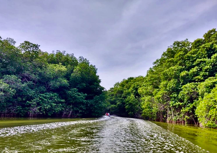 mujeres-pescadoras-manglar-oaxaca-proyecto