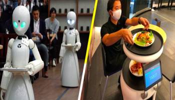 ¡No temas por tu platillo! La comida ya es servida por robots meseros