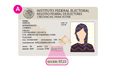 sección-electoral-ine-credencial