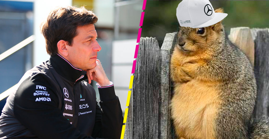 ¡Ya suéltalo! Dice Toto Wolff que no quiere "hablar nunca más" con Michael Masi por el GP de Abu Dhabi