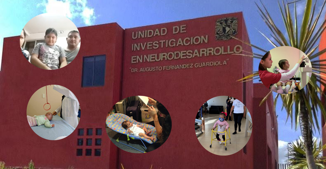 unidad-neuro-desarrollo-unam