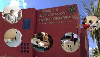 unidad-neuro-desarrollo-unam