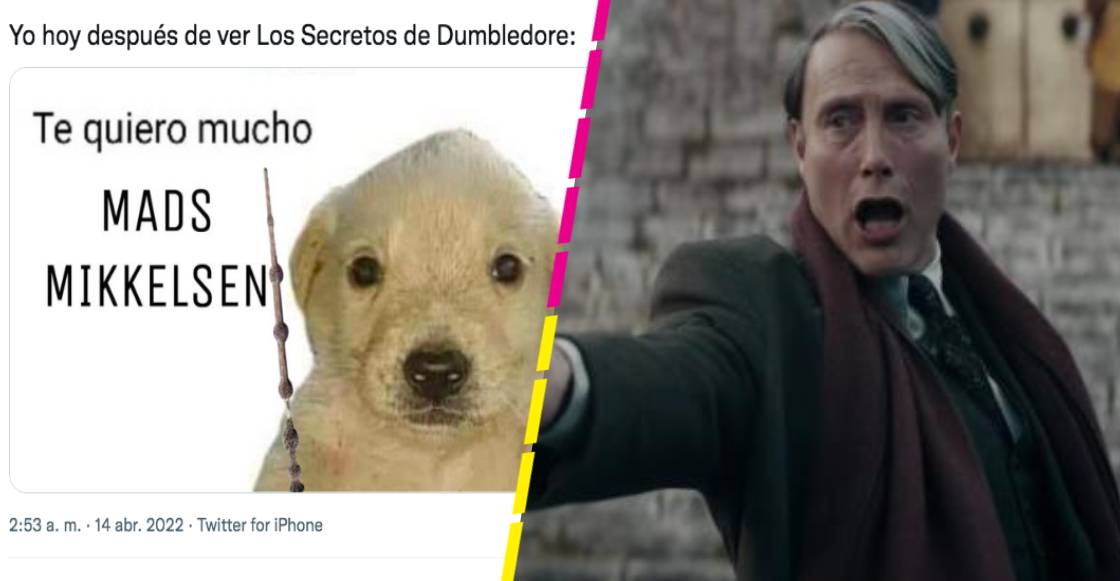 Los memes del estreno de 'Animales Fantásticos: Los secretos de Dumbledore'