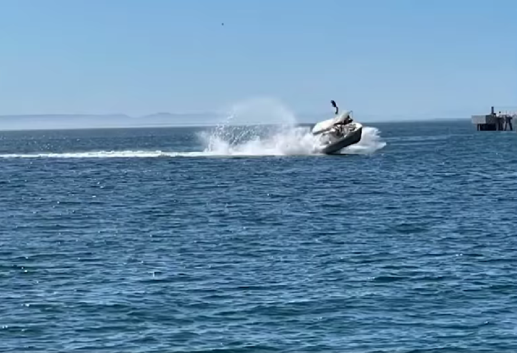 Y en La Paz: Bote golpea a una ballena y sale volando por los aires