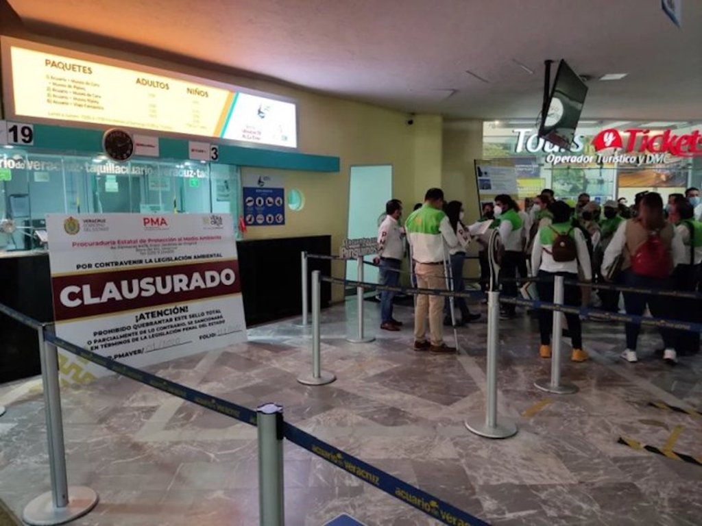  acuario-veracruz-clausura-fiesta