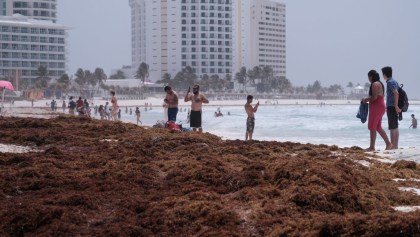 sargazo-playa-quintana-roo